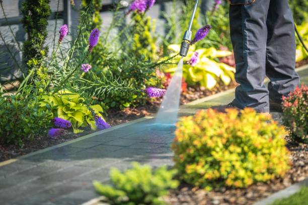 Best Roof Cleaning and Mildew Removal in Wheeling, IL